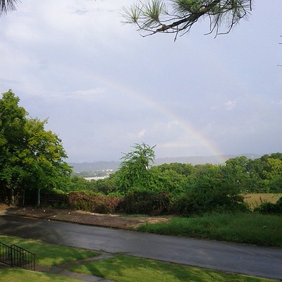 Looking at Rainbows from Norwood. Andre Natta.